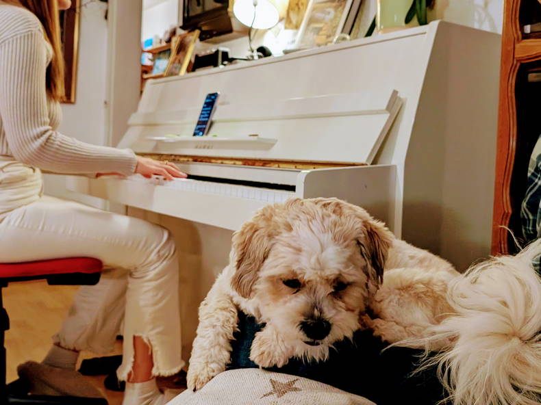 Zakwaterowanie U Rodziny Courtételle 377973-1