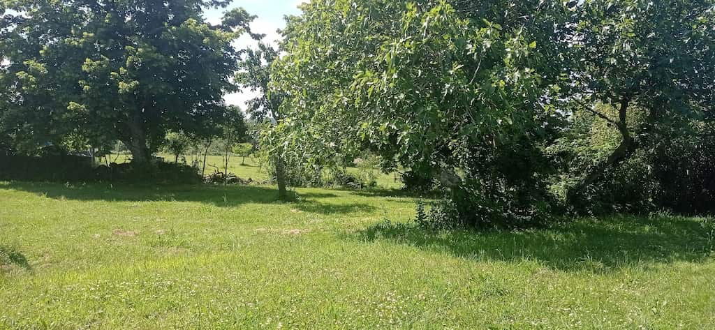 Tutta La Casa Vielle-Tursan 267438