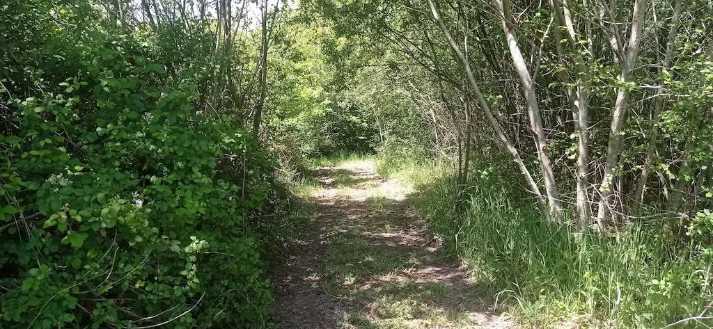 Tutta La Casa Vielle-Tursan 267438