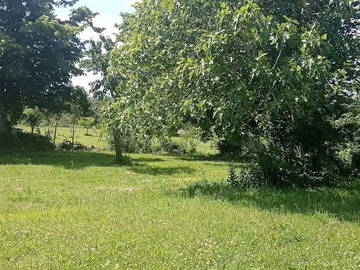 Logement Entier Vielle-Tursan 267438-15