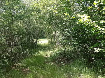 Logement Entier Vielle-Tursan 267438-16