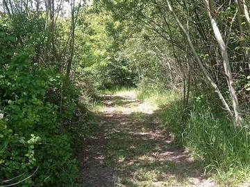 Logement Entier Vielle-Tursan 267438-17