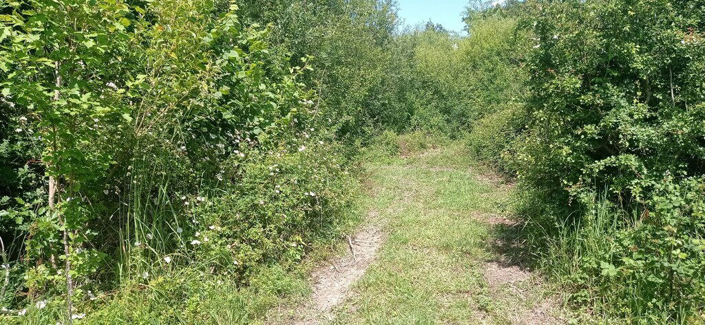 Independent Studio Vielle-Tursan 267438