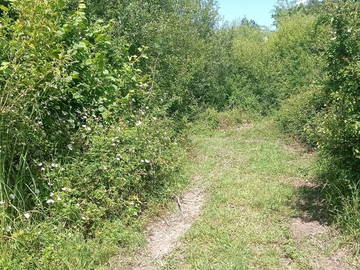 Logement Entier Vielle-Tursan 267438-18