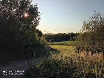 Logement Entier Vielle-Tursan 267438-20