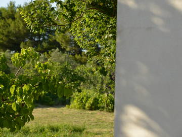 Logement Entier Molinella 174715-4