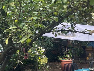 Chambre D'hôte Boulogne-Billancourt 640754-13