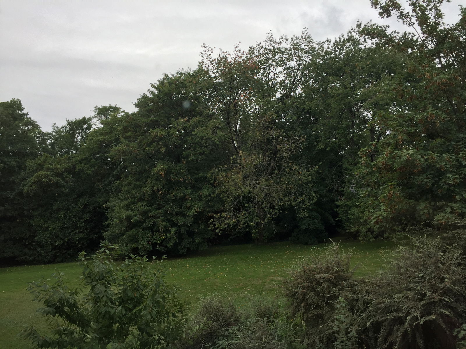 Colocation Rennes 187421