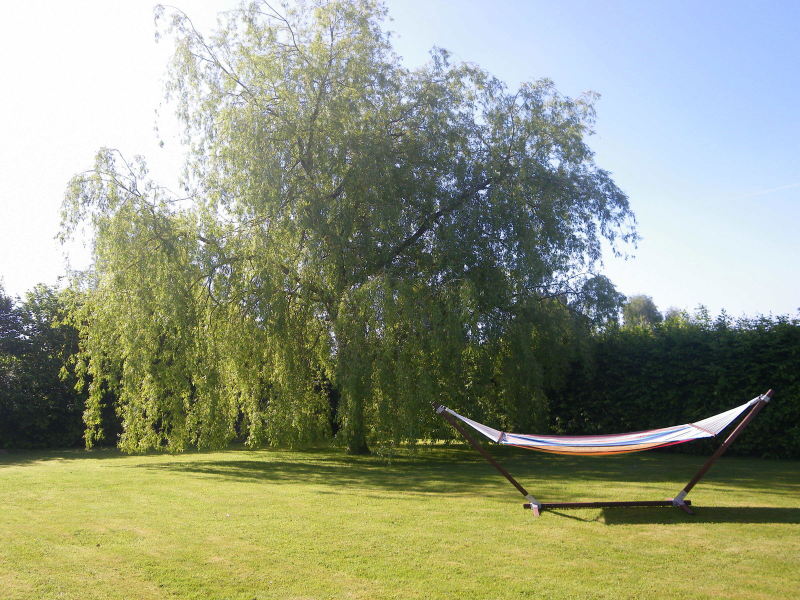 Bed And Breakfast Braine-l'Alleud 74609