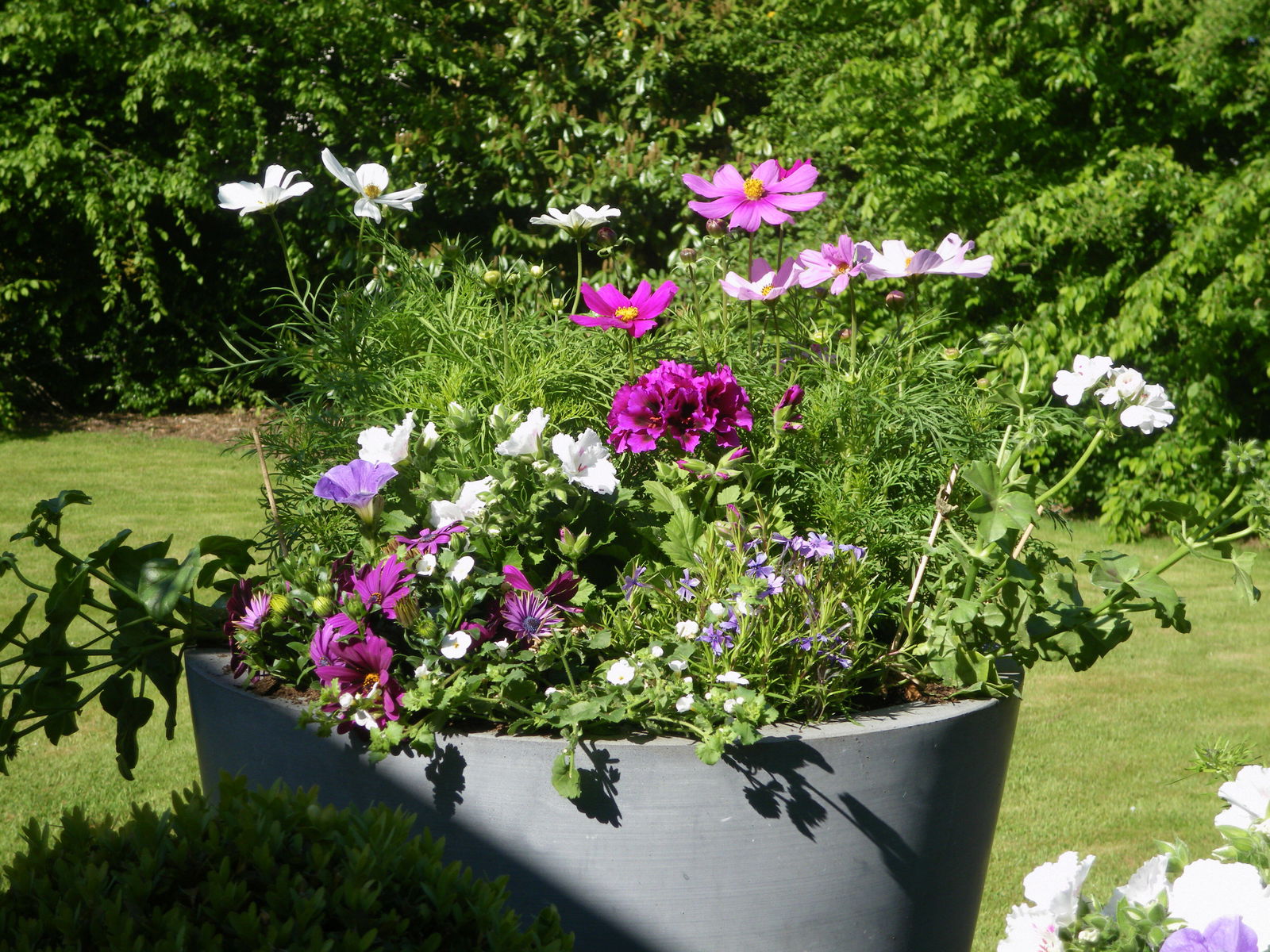 Bed And Breakfast Braine-l'Alleud 74609