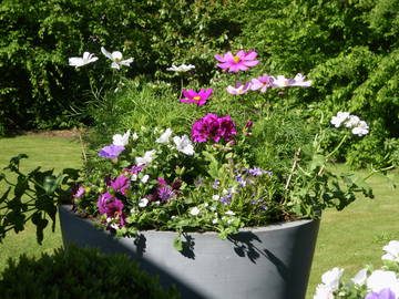 Chambre D'hôte Braine-L'alleud 74609-8