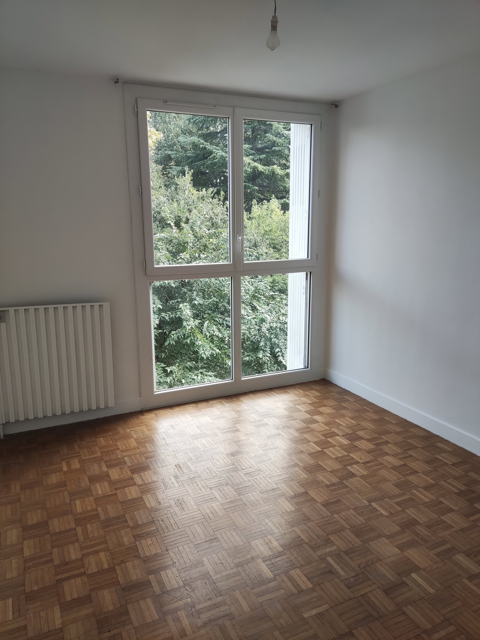 Colocation Toulouse 630386