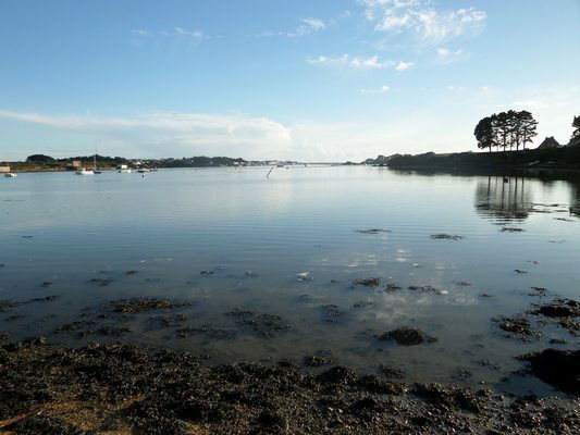 Uafhængigt Studie Plouhinec 68201