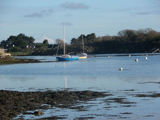 Uafhængigt Studie Plouhinec 68201