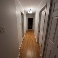 Kolokation Montréal 599759