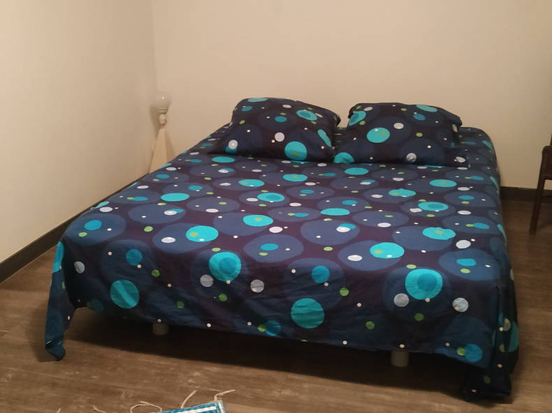 Chambre Chez L'habitant Villeurbanne 246554-3