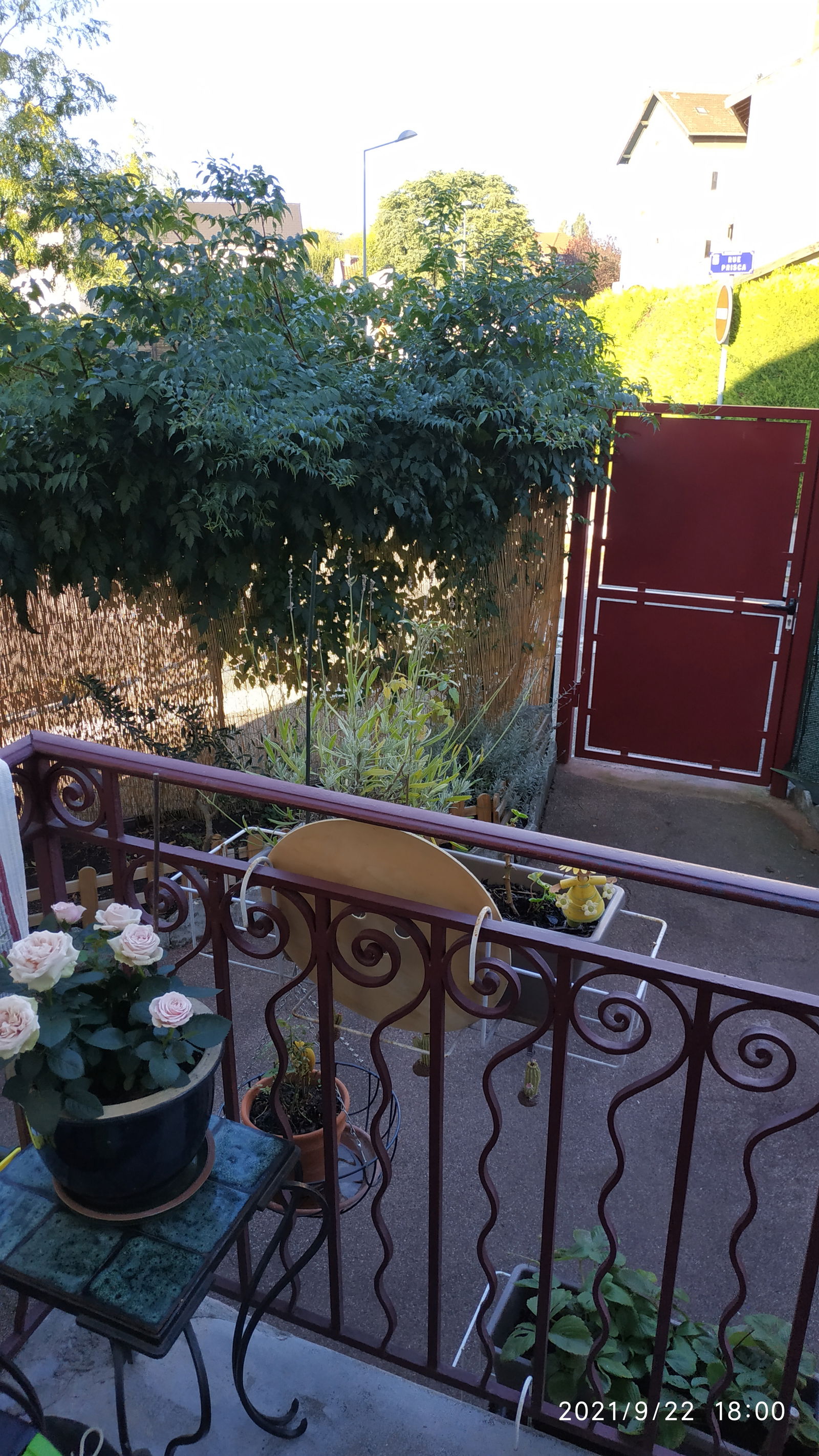 Homestay Villeurbanne 246554