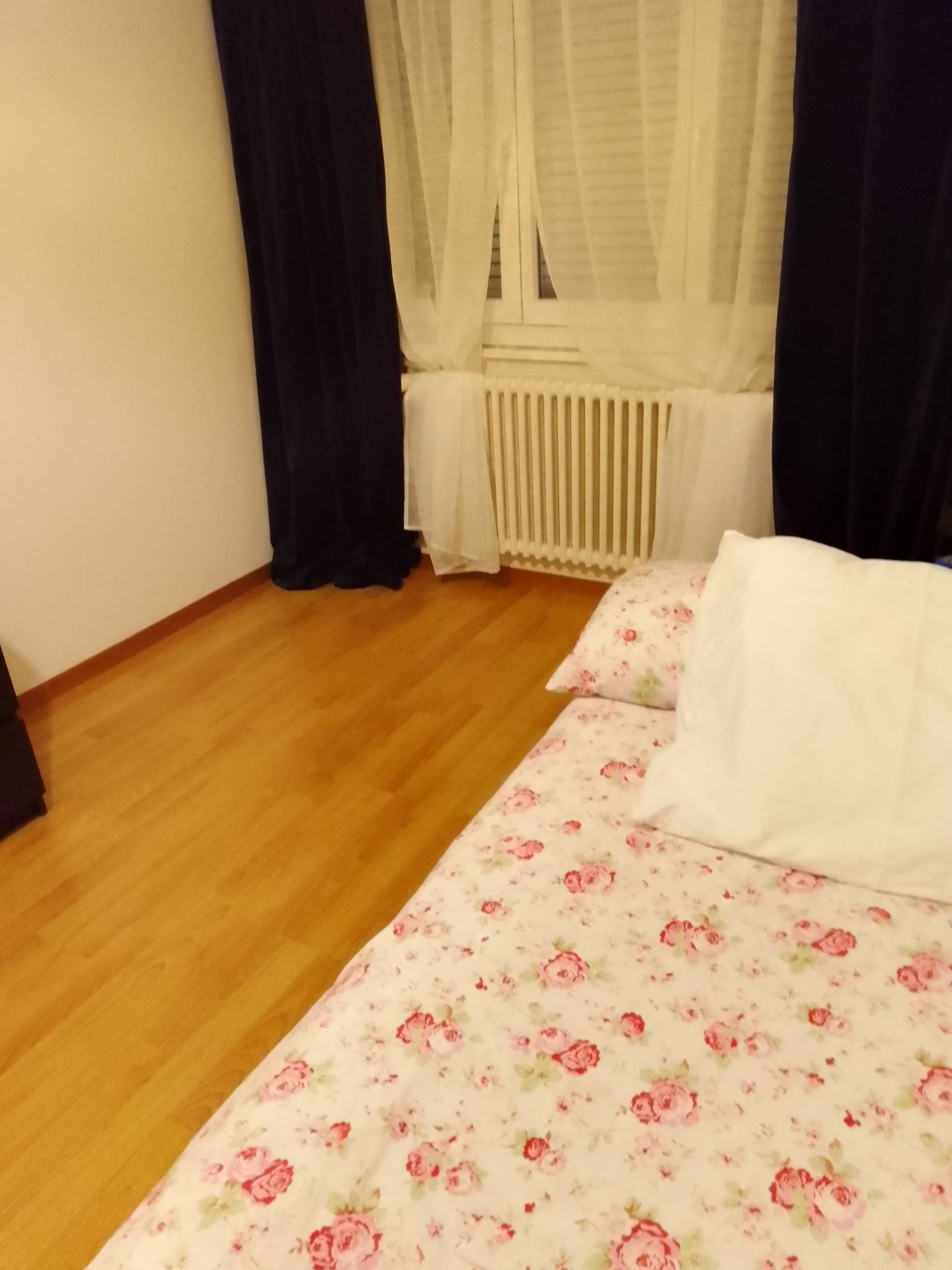 Homestay Chavornay 352074