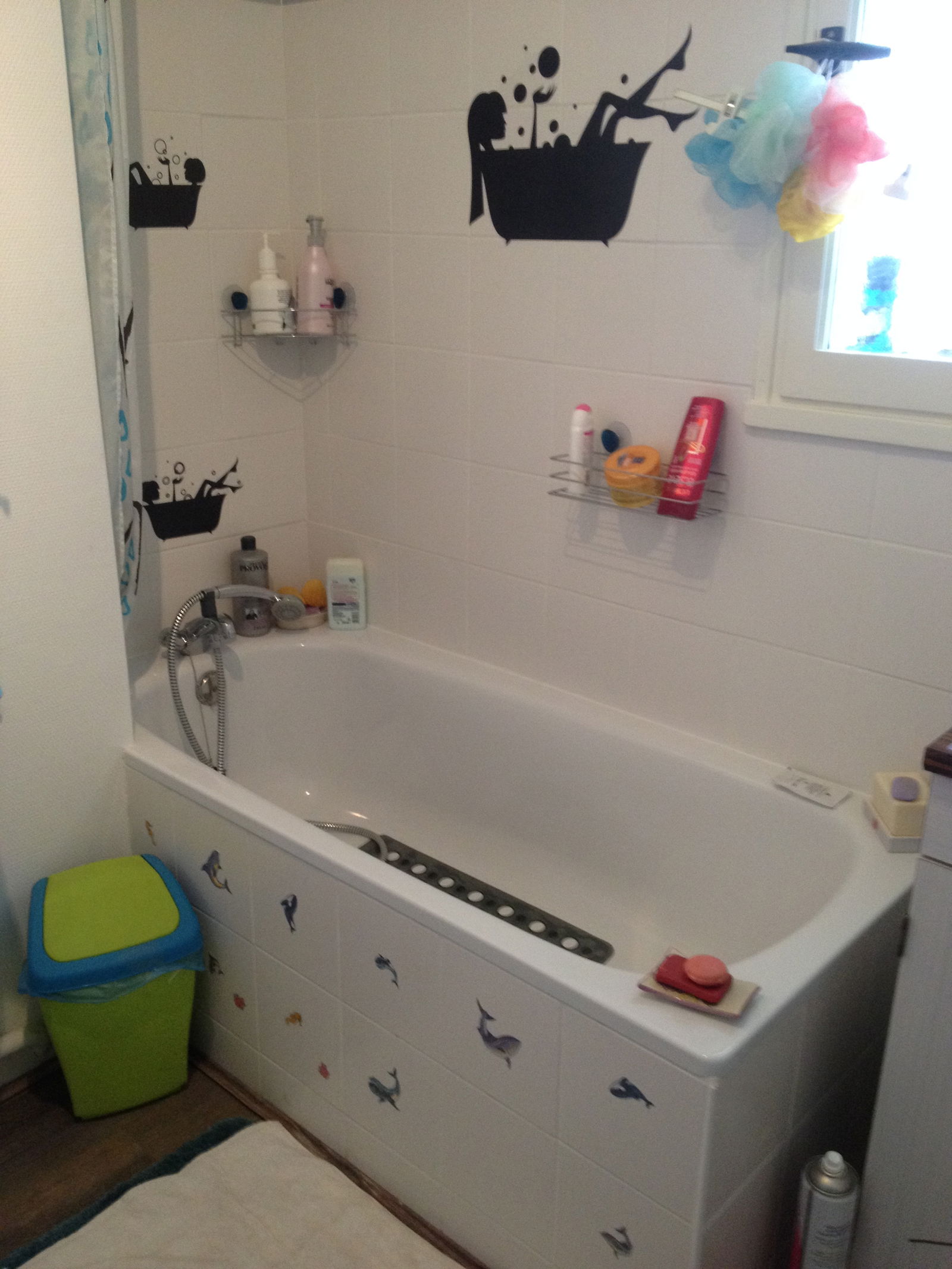 Homestay Blois 121311
