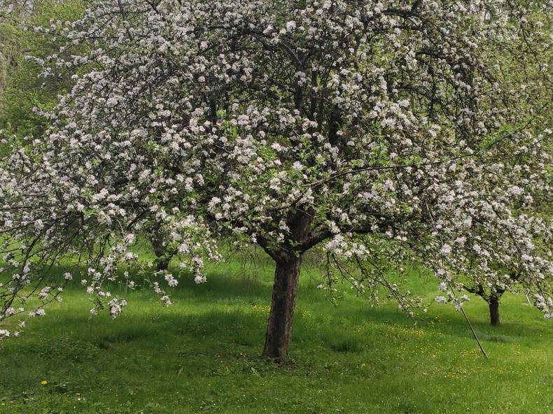 Quedarse En Casa Fontaine-lès-Luxeuil 334797-4