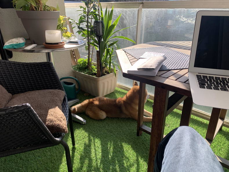 Homestay Boulogne-Billancourt 341760-5