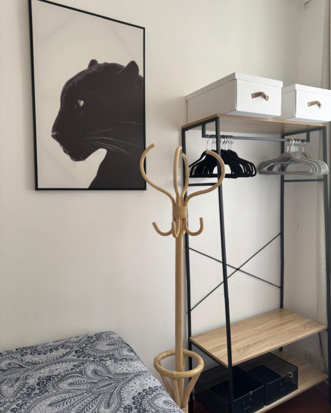 Homestay Toulon 578444