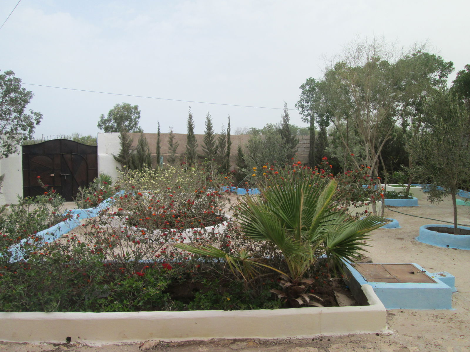 Independent Studio Agadir 123127