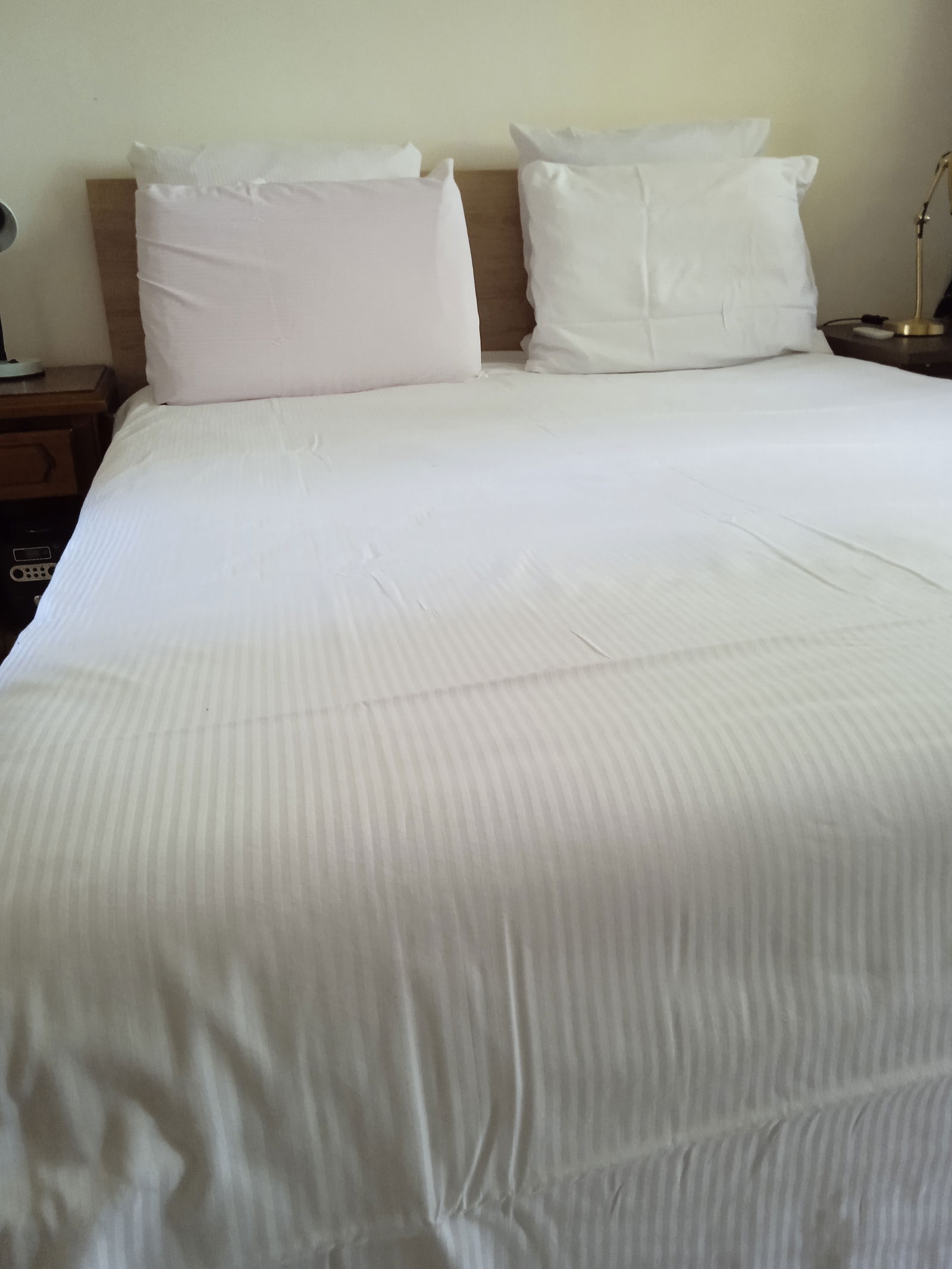 Homestay Stains 287753