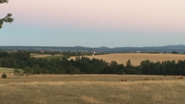 Homestay Bust 136847