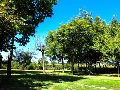 Bed And Breakfast Novi di Modena 193982-2