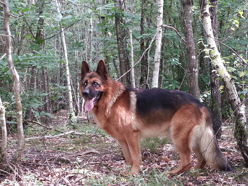 Quedarse En Casa Cormenon 37805-2