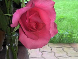 Quedarse En Casa Cormenon 37805-3