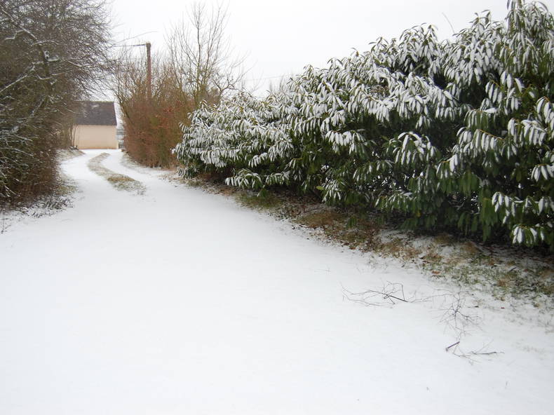 Quedarse En Casa Cormenon 37805-4