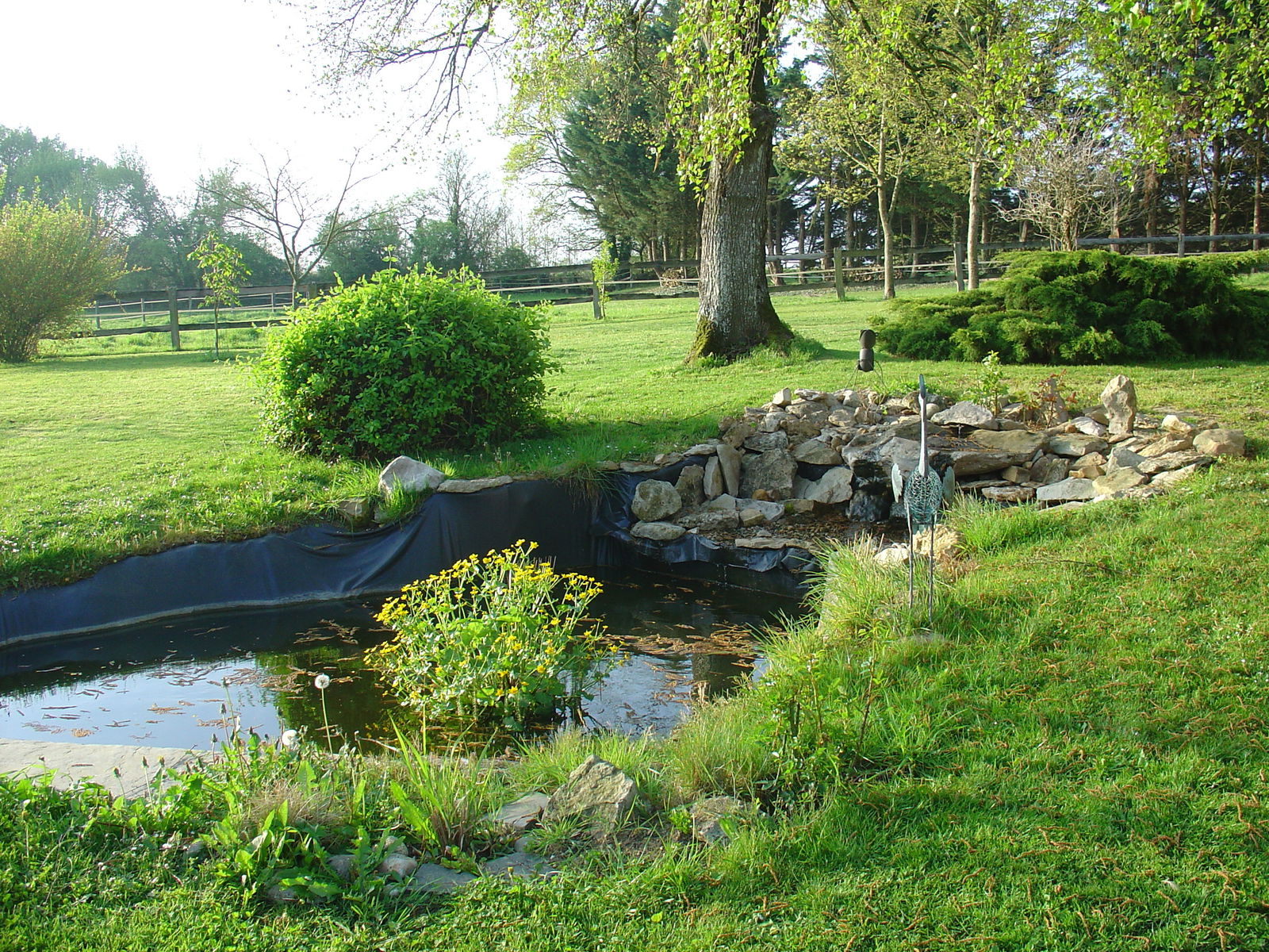 Homestay Pays de la Loire 163893