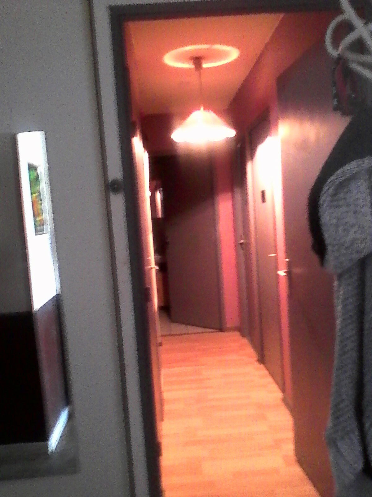 Homestay Lyon 225019