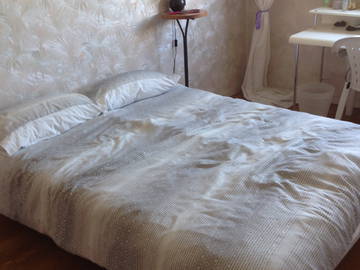 Chambre À Louer Lyon 259133