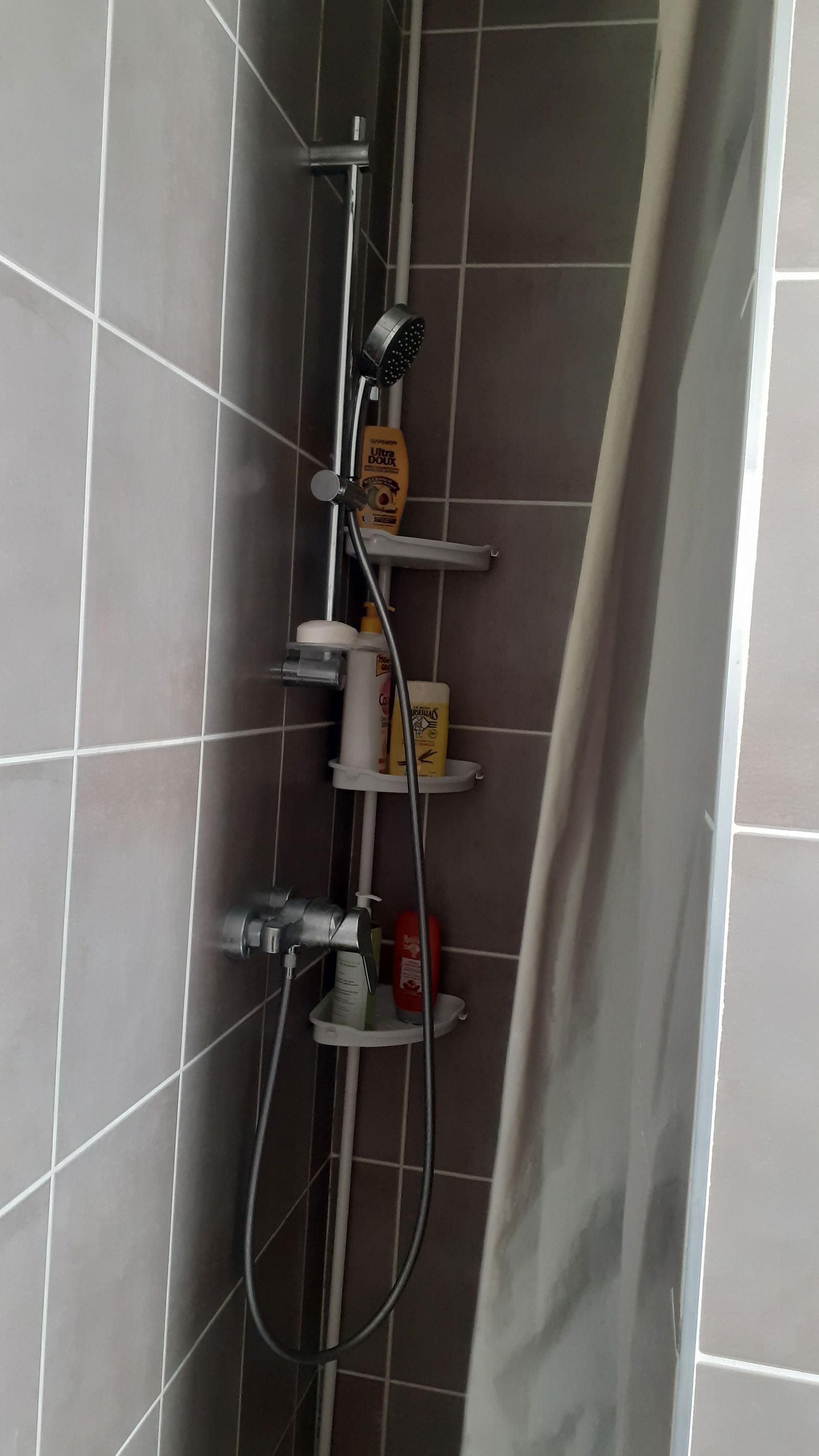 Homestay Besançon 251623