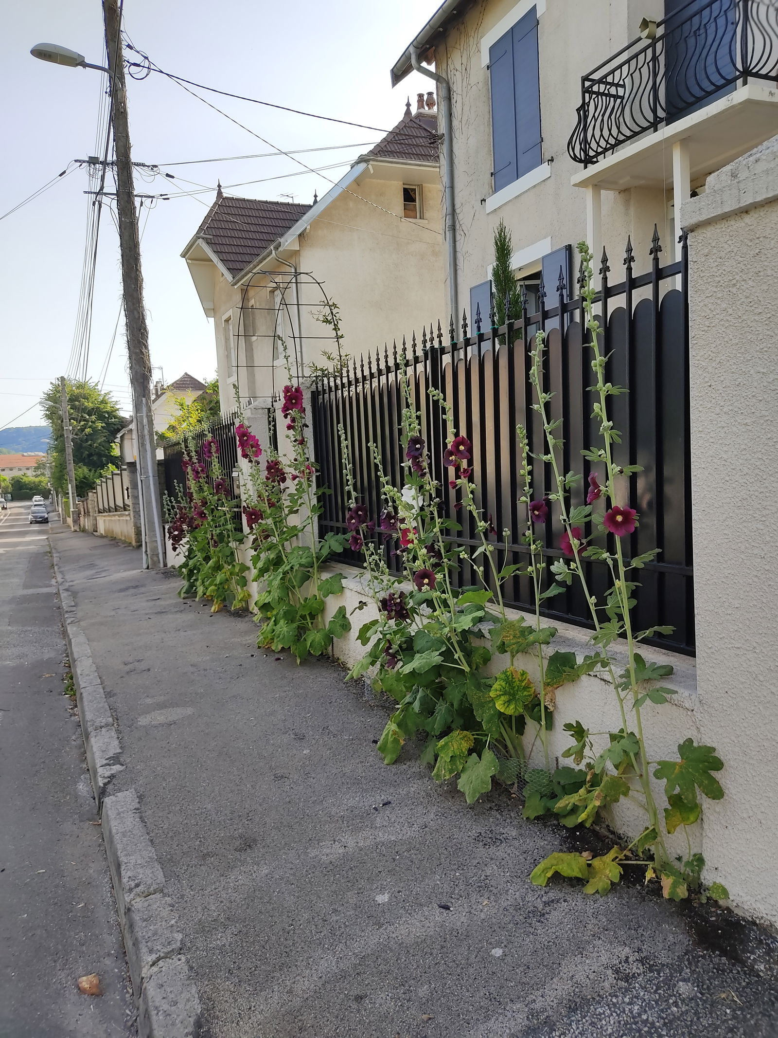 Homestay Besançon 251623