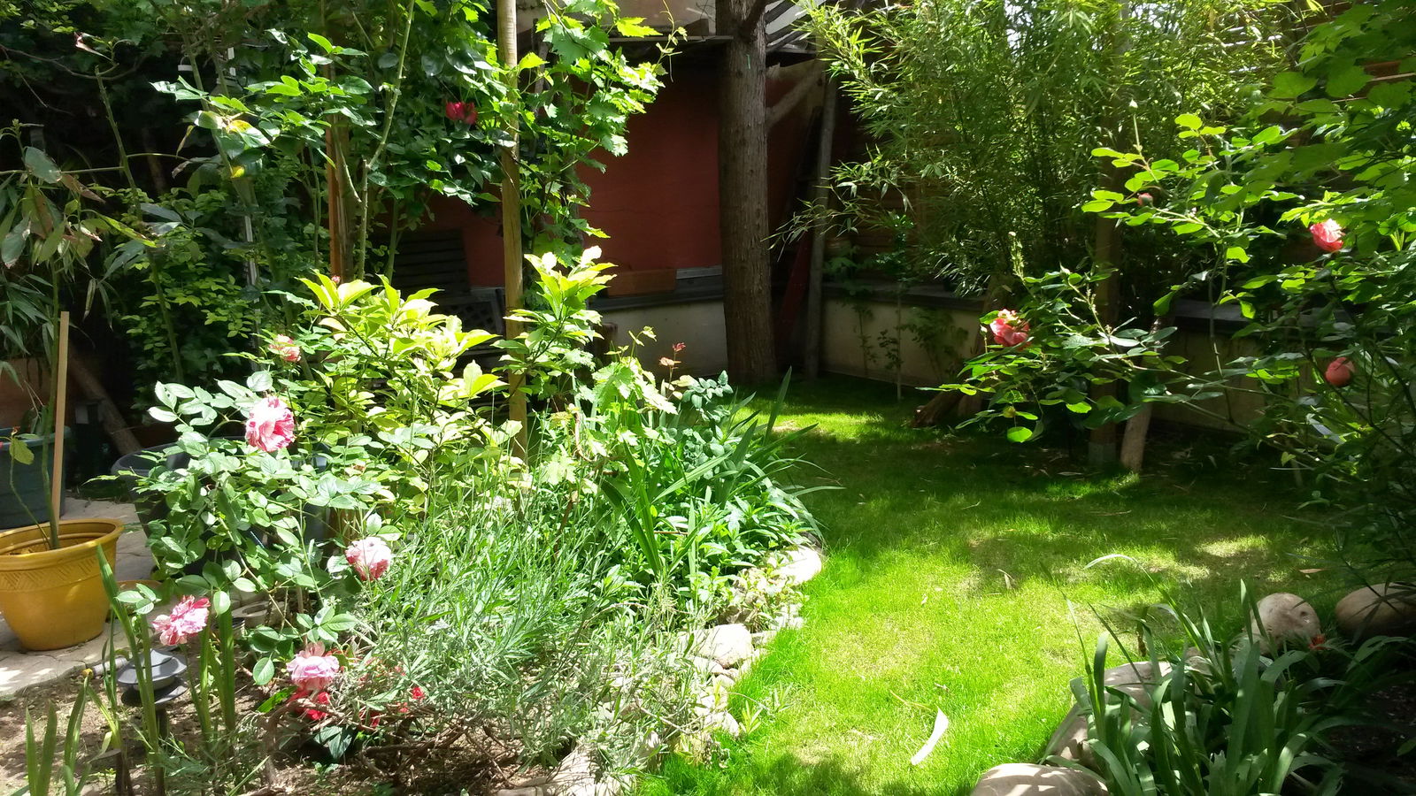 Colocation Paris 107486