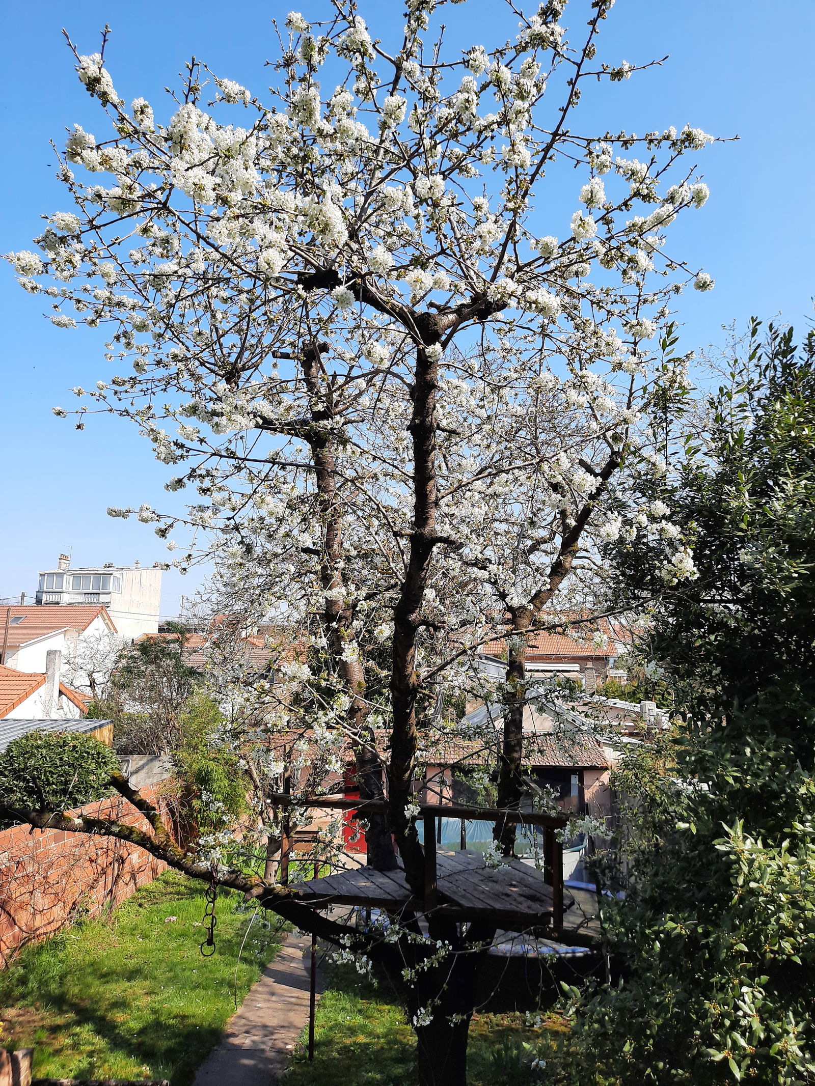 Homestay Champigny-sur-Marne 321908