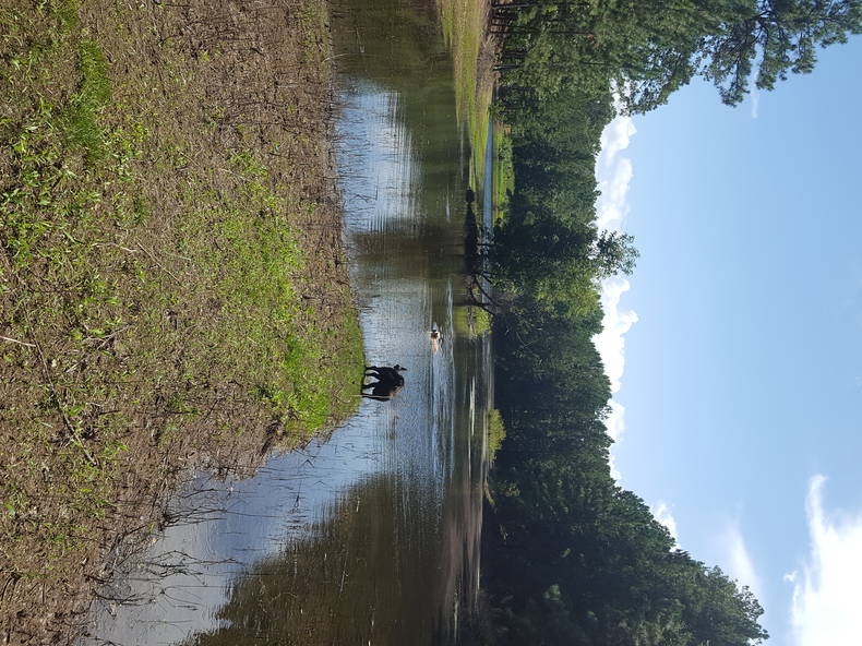 Quedarse En Casa Fort Valley 149072-2