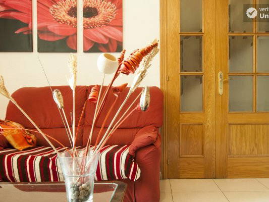 Colocación Villaviciosa de Odón 125798-5