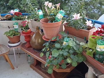 Homestay Dijon 268747-5