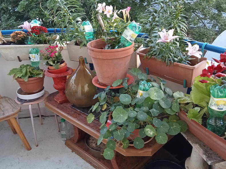 Chambre Chez L'habitant Dijon 268747-5