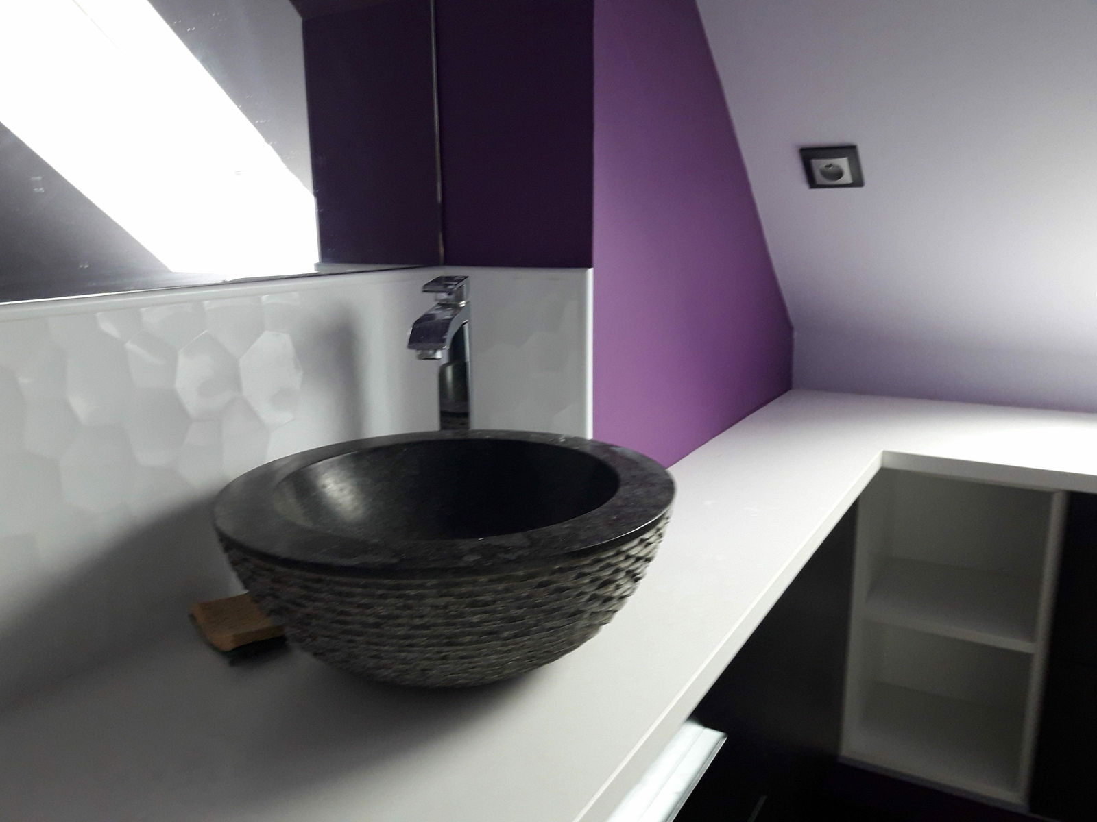 Colocation Le Mans 101662