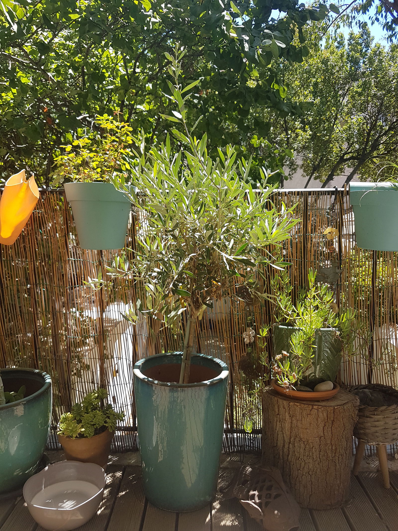 Homestay Marseille 260891