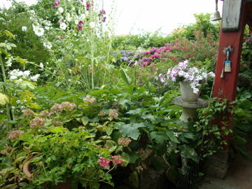 Chambre À Louer Bouguenais 108328