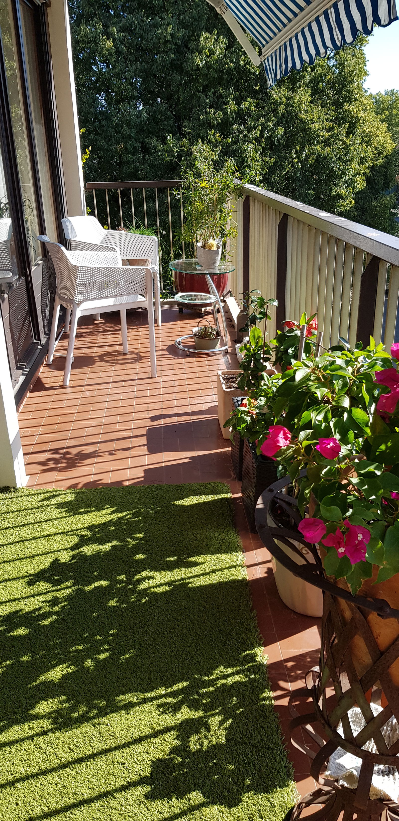 Homestay Nîmes 262845