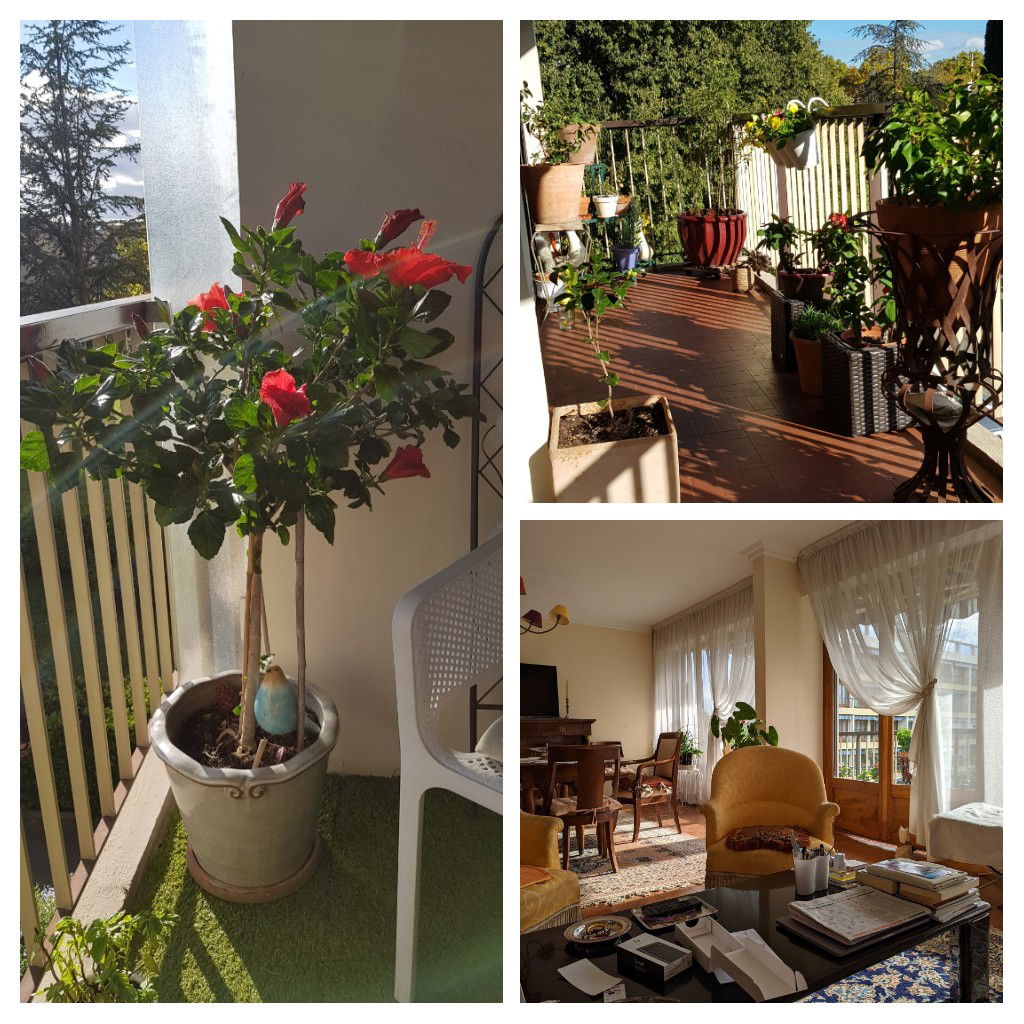 Homestay Nîmes 262845
