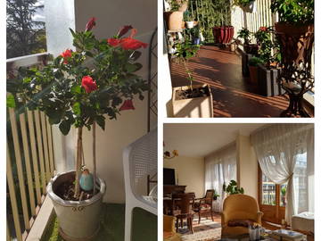 Homestay Nîmes 262845-5